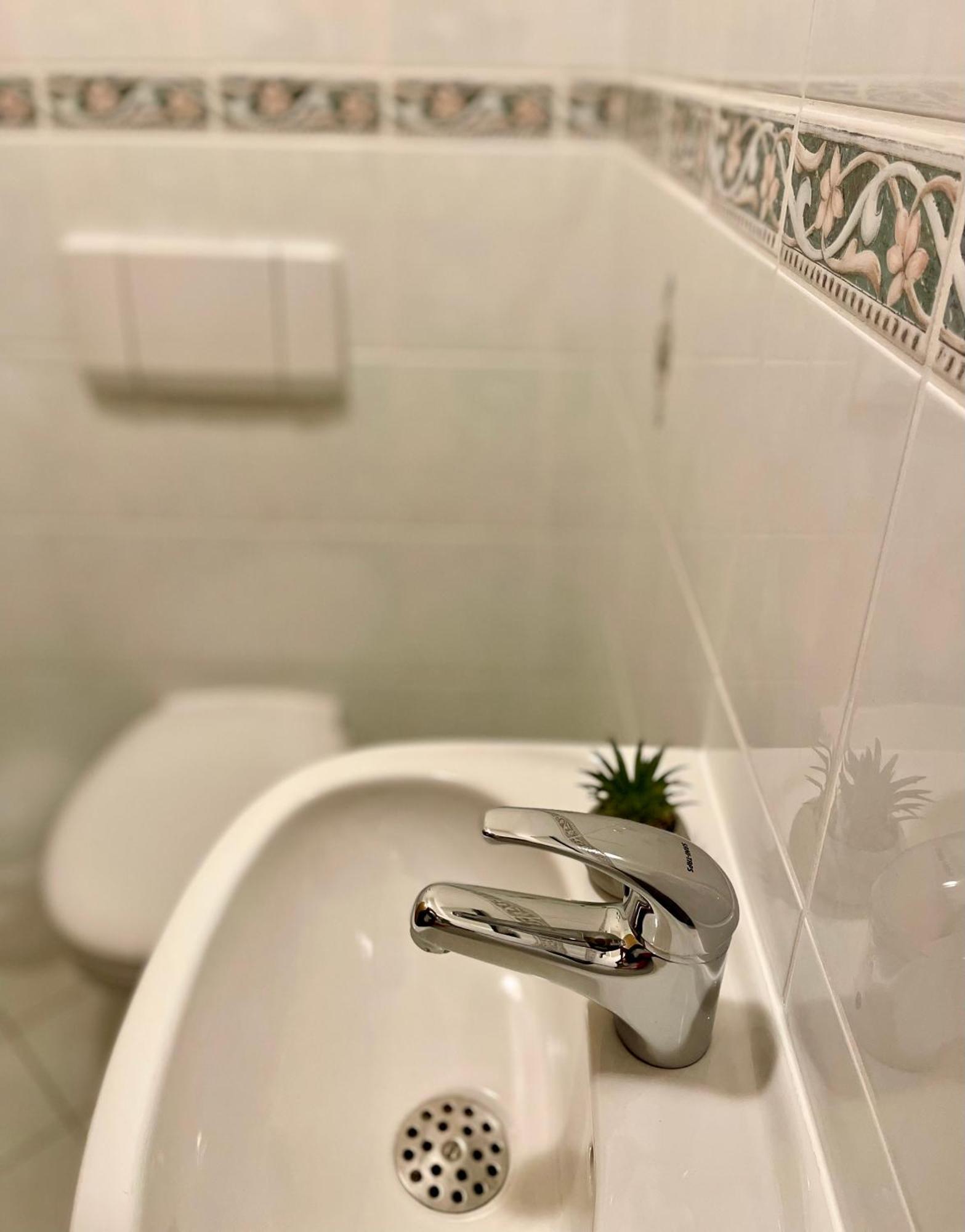 Ferienwohnung Garten Eden Sommer-Hornerbahnen Kostenlos ボルシュターラング エクステリア 写真